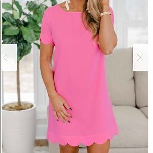 NWT - ROMANTIC REVIVAL PINK DRESS